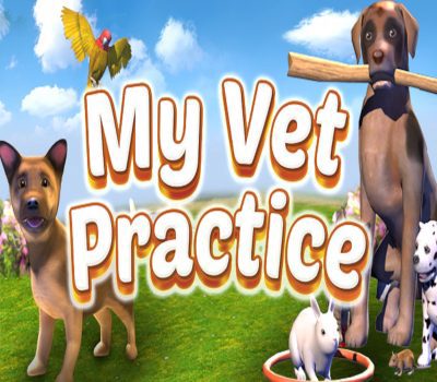 My Vet Practice PC Steam Аккаунт