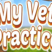 My Vet Practice PC Steam Аккаунт