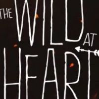 The Wild at Heart EU PC Steam Ключ