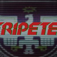 Peripeteia PC Steam Аккаунт
