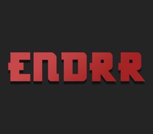 ENDRR PC Steam Ключ