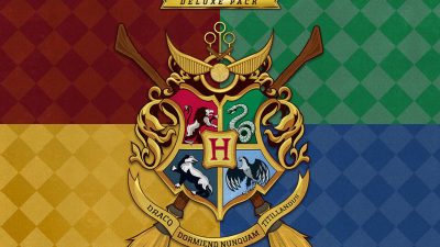 Harry Potter: Quidditch Champions - Deluxe Pack DLC EU (without DE) PS4/PS5 Ключ