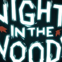 Night in the Woods Steam Альтергифт