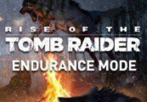 Rise of the Tomb Raider - Endurance Mode DLC Steam Ключ