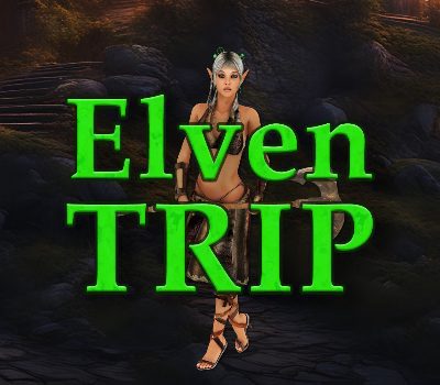Elven Trip PC Steam Ключ