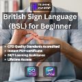 British Sign Language (BSL) for Beginner Course — Other