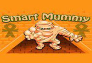 Smart Mummy Steam Ключ