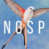 Wingspan PC Steam Аккаунт