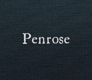 Penrose PC Steam Ключ