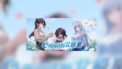 The North Star of the Heart PC Steam Ключ