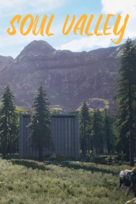 Soul Valley PC Steam Ключ