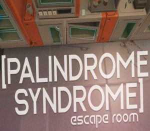 Palindrome Syndrome: Escape Room PC Steam Ключ