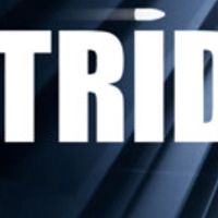 STRIDE Steam Альтергифт