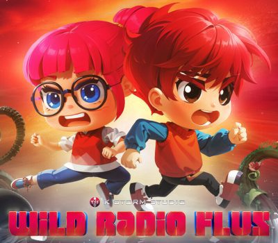 Wild Radio Flux PC Steam CD Key