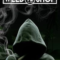 Weed Shop 2 Steam Альтергифт