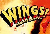 Wings! Ремастер издание Steam Ключ