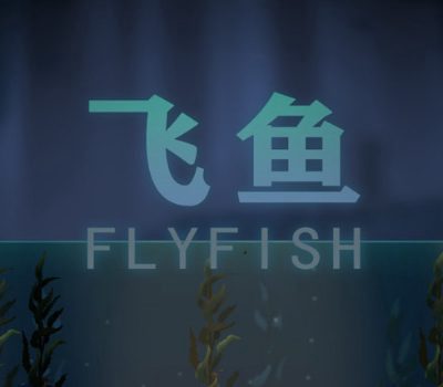 Fly Fish Steam Ключ