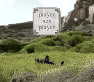 Player Non Player Steam Ключ