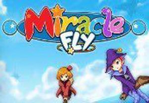 Miracle Fly Steam Ключ