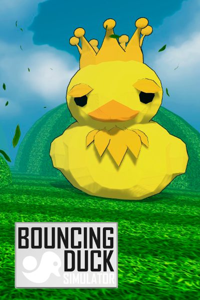 Bouncing Duck Simulator Steam CD Key