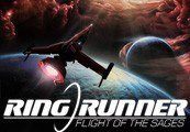 Ring Runner: Flight of the Sages Steam Подарок