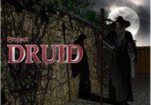 Project Druid - 2D Labyrinth Explorer- Steam Ключ