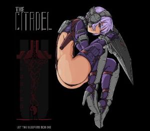 The Citadel Steam Ключ
