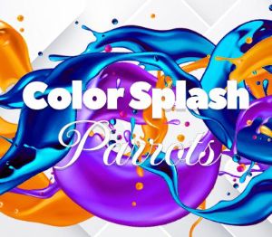 Color Splash: Parrots PC Steam Ключ
