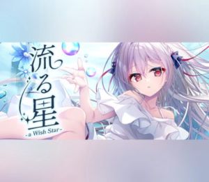 流る星 -a wish star- PC Steam Аккаунт