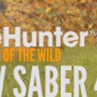 theHunter: Call of the Wild - ATV Saber 4X4 DLC Steam Ключ