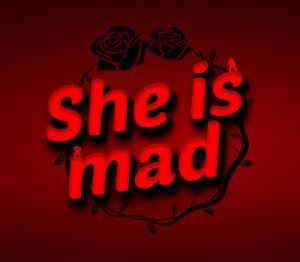She is mad PC Steam Ключ