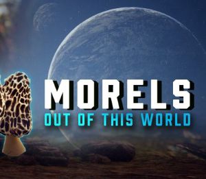 Morels: Out of this World PC Steam Ключ