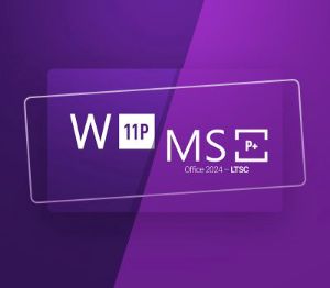 Windows 11 Professional & MS Office 2024 Professional Plus LTSC Набор Ключ