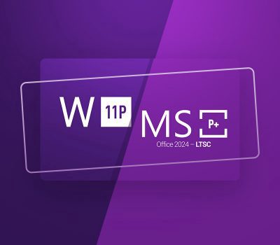 Windows 11 Professional & MS Office 2024 Professional Plus LTSC Набор Ключ