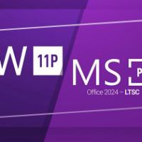 Windows 11 Professional & MS Office 2024 Professional Plus LTSC Набор Ключ