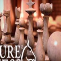 Pure Chess - Steampunk Game Pack Steam Ключ