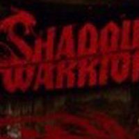 Shadow Warrior Steam Подарок