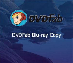 DVDFab Blu-Ray Copy Ключ (1 Year / 1 PC)