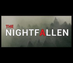 NIGHT FALLEN PC Steam Ключ