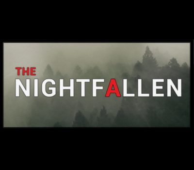NIGHT FALLEN PC Steam Ключ