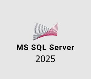 MS SQL Server 2025 Ключ
