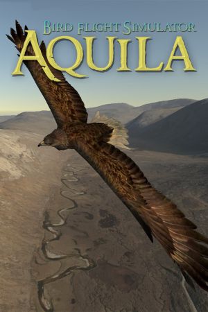 Aquila Bird Flight Simulator Steam Ключ