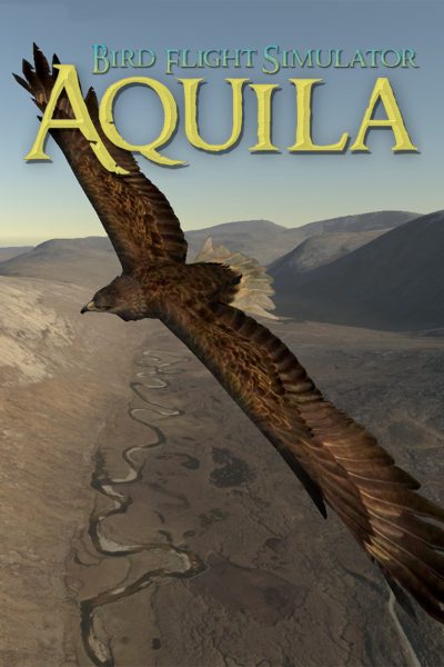 Aquila Bird Flight Simulator Steam CD Key