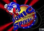 Sonic Spinball Steam Ключ