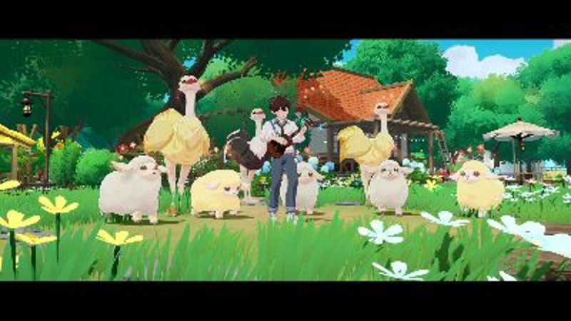 Screenshot 10
