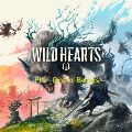 WILD HEARTS — Ключи активации