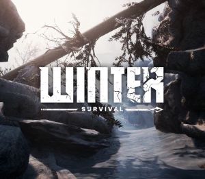 Winter Survival Steam Ключ