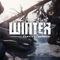 Winter Survival Steam Ключ