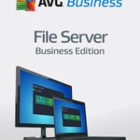 AVG File Server Business издание Ключ (1 Year / 1 Device)