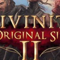 Divinity: Original Sin 1 + 2 Набор GOG Ключ